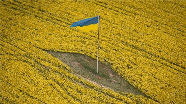 Eine ukrainische Nationalfahne steht inmitten eines blühenden Feldes in der Nähe von Browary.