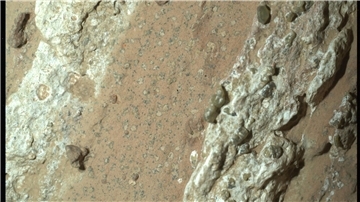 Eine vom Nasa-Rover „Perseverance“ im vergangenen Jahr auf dem Mars entnommene Gesteinsprobe könnte nach Angaben der US-Raumfahrtbehörde möglicherweise Spuren von früherem mikrobiellen Leben enthalten.