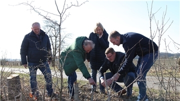 Eine Wallhecke in Frelsdorf nach der Pflege: Im Spätsommer wird sie ein Zuhause für viele Tiere sein.