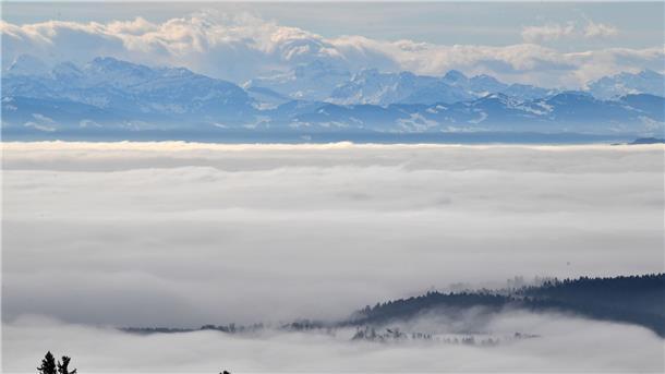 Bodensee: Nebelstunden nehmen wegen Klimawandel ab Einen so dichten Nebel sieht man über dem Bodensee immer seltener.