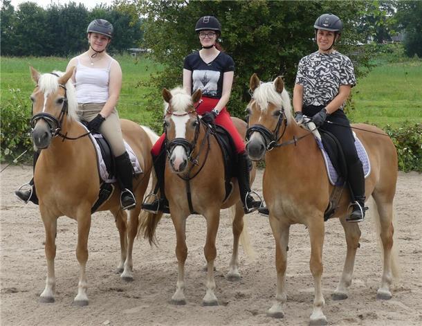 **ALT-Text:**
Drei junge Reiterinnen sitzen nebeneinander auf ihren Haflingern im Reitdress auf einem Sandplatz. Im Hintergrund sind grüne Wiesen und Bäume zu sehen.