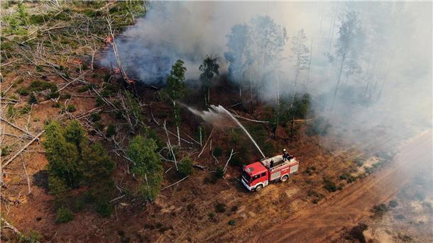 Waldbrand bei Jüterbog ausgeweitet - Gefahr in Nordsachsen Einsatzkräfte der Feuerwehr bekämpfen in einem Waldstück nahe Jüterbog das Feuer.