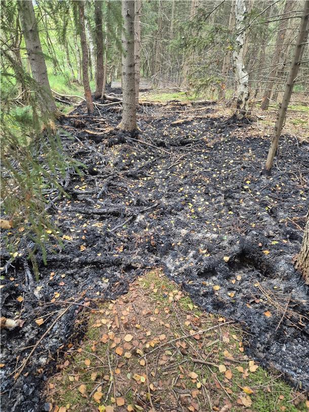 Moorbrand bei Schiffdorf-Spaden: Feuerwehr löscht 125 Quadratmeter Fläche, 30 Kräfte im Einsatz, 25.000 Liter Wasser verbraucht.