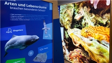 Ausstellung "Meer.Natur.Schutz" im Nationalpark-Haus Wurster Nordseeküste