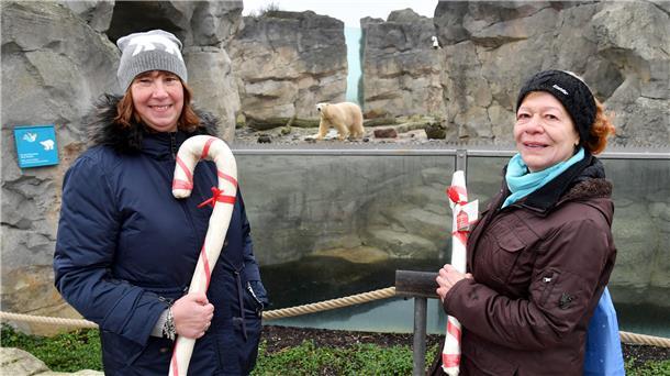 Eisbärin Valeska wird von Birgit Born aus Wilhelmshaven (li.) und Ilse Baudy im Zoo am Meer besucht.