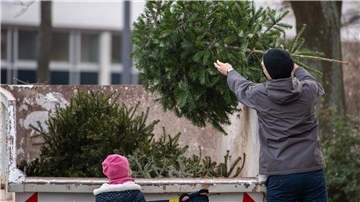 Ein Mann wirft einen Weihnachtsbaum in einen Container. 