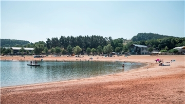 Erneut greift ein Wels einen Schwimmer in der Region an. (Symbolbild)
