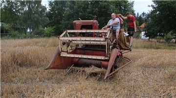 Ernte mit historischen Maschinen: Uwe Janssen von den Oldtimerfrünn Klein Meckelsen fährt den alten Fahr-Mähdrescher vom Typ MDL. Mit an Bord ist Marvin Rievesehl.