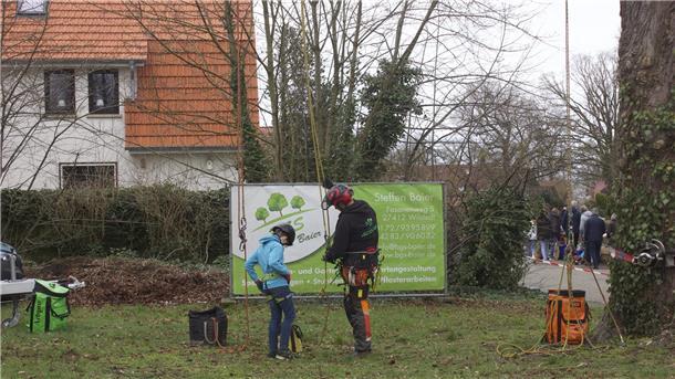So bietet der „Frühling in Wilstedt“ die Chance zum Stöbern und Plaudern Erst nach genauer Einweisung konnte es mit dem Klettern an einer Kastanie losgehen.