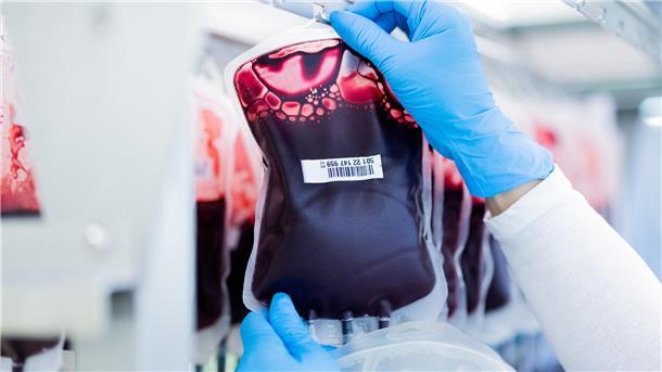 10 Mythen rund ums Blutspenden: Wir sagen, was dran ist Erythrozyten, Thrombozyten, Blutplasma - Blut besteht aus mehreren Bestandteilen. Sie haben eine unterschiedliche Haltbarkeit