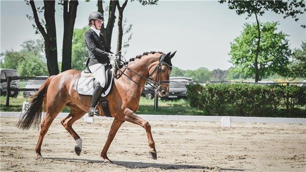 Rund 500 Pferde und Ponys beim Reitturnier in Sittensen am Start Es gibt auch Dressurwettbewerbe.
