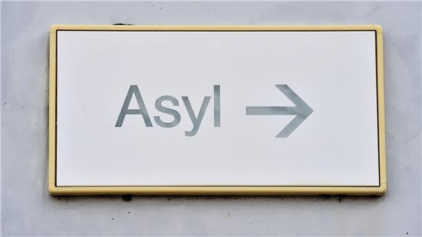 Etwa drei Fünftel der im Jahr 2024 gestellten Asylanträge entfielen auf drei Hauptherkunftsländer - Syrien, Afghanistan und Türkei.
