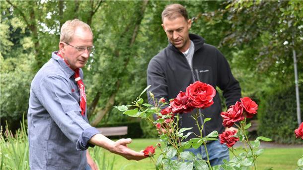 Nordseebad Wremen – das Dorf der üppigen Rosen Fachsimpelei zwischen Rosengärtner Torben Eibs (rechts) und dem Vorsitzenden des Wremer Verkehrsvereins Jan-Hinrik Dircksen im Wremer Kurpark.