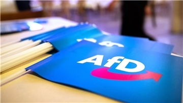 Fähnchen mit dem Logo der AfD.