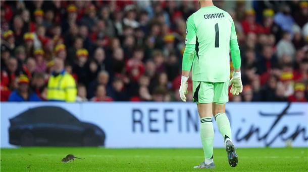 Fängt lieber Bälle: Belgiens Torwart Thibaut Courtois.