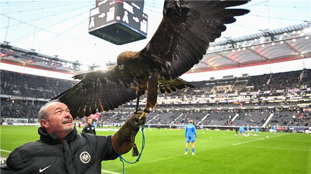 Falkner Norbert Lawitschka mit Eintracht-Maskottchen Steinadler Attila.