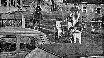 Familienausflug mit zweieinhalb PS: Manche holten am 25. November 1973 wieder das Pferd aus dem Stall.