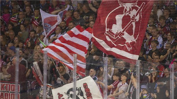 Vorsänger Tom Bohlen: „Bei einigen Spielen ist die Stimmung nicht gut“ Fans der Fischtown Pinguins jubeln auf der Tribüne