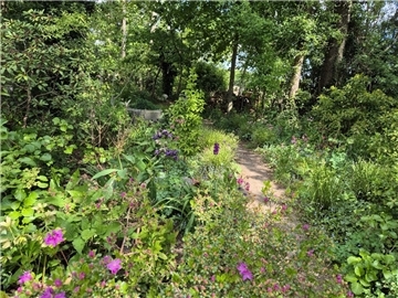 Farbenprächtige Vielfalt: Im Garten Wilhelm blühen Rhododendren, Akeleien und Pfingstrosen – ein Paradies für Insekten und ein Genuss für Besucherinnen und Besucher.