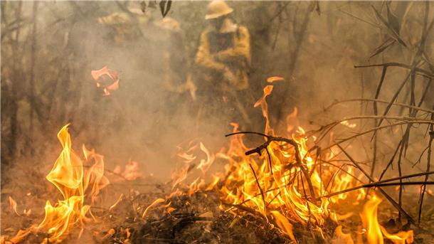 Rekordwaldbrände in Brasiliens Feuchtgebiet Pantanal Feuerwehreinheiten bekämpfen die schlimmen Waldbrände im Pantanal.