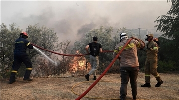 Feuerwehrleute und Freiwillige versuchen, einen Brand bei Nea Anchialos zu löschen.