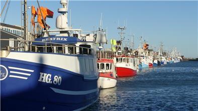 Fischerboote im Hafen von Hirtshals. Dänische Fischer meiden heimische Häfen aufgrund neuer CO2-Steuer.