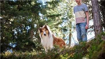 Flo (Nico Marischka) will sich auch in den Ferien nicht von Lassie trennen.