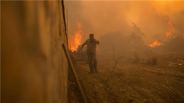 Griechische Feuerwehr: Brände größtenteils unter Kontrolle Flucht vor den Flammen.