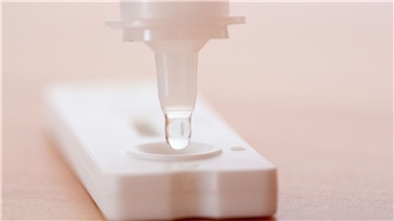 Flüssigkeit wird auf einen Antigen-Schnelltest gegeben.