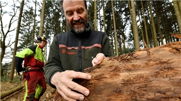 Förster Dieter Röhnisch bei der Arbeit: Borkenkäfer sind auch in seinem Revier ein großes Problem.
