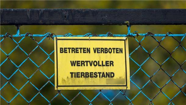 Vogelgrippe breitet sich rasant aus – 400.000 Tiere gekeult Forderungen nach einem bundesweiten Aufstallungsgebot werden lauter.