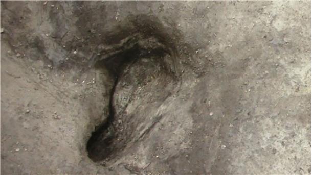 Forscher haben die vermutlich ältesten bekannten Fußspuren von Urmenschen in Deutschland entdeckt.