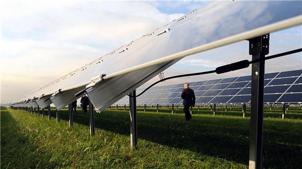 Ein Mann läuft durch einen Solarpark.