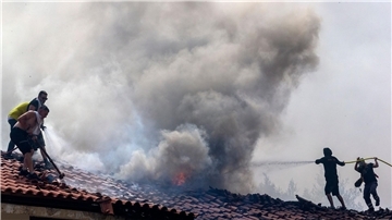 Freiwillige bekämpfen einen Waldbrand in der Nähe von Athen.