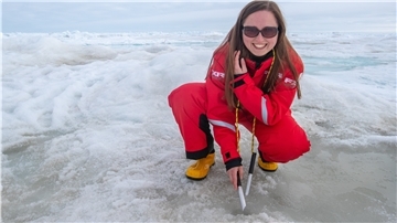Dr. Sandra Tippenhauer 