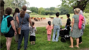 Erwachsene und Kinder in einem Tierpark