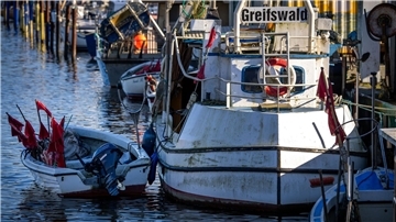 Für die Ostseefischer gibt es wegen der schlechten Entwicklung der Bestände im kommenden Jahr wohl nur wenig zu fangen (Archivbild).