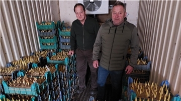 Zwei Männer stehen in einem Kühlcontainer, der mit blauen Kunststoffkisten voller Tulpenzwiebeln gefüllt sind, aus denen gelbe Triebe wachsen.