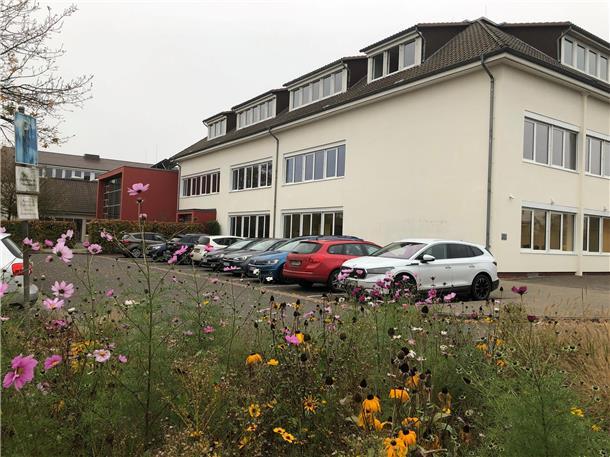 Gewollte Lücke in der Finanzierung? Kritik aus der Eichenschule in Scheeßel Die Eichenschule