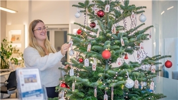 NZ-Mitarbeiterin Sophie Schliephake schmückt einen Tannenbaum.