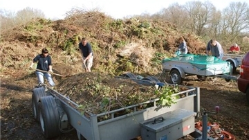 Mehrere Personen arbeiten im Freien auf einer Grünabfall-Deponie. Sie beladen oder entladen Anhänger mit Gartenabfällen wie Ästen, Laub und Erde.