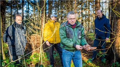 Der Borkenkäfer hat diesen Nadelbaum bereits angegriffen, zeigt Thorsten Hainhorst vom Gartenbauamt.