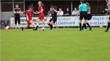 Niedersachsenliga