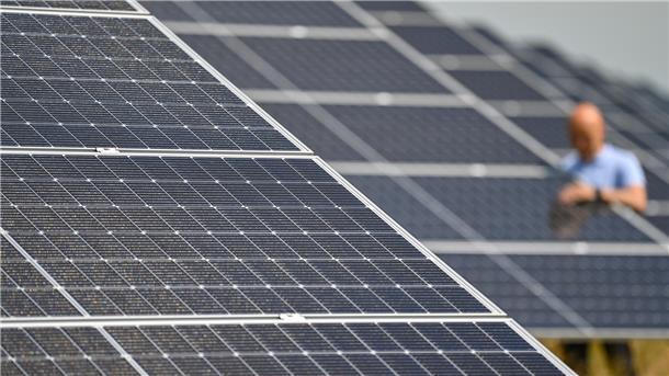 Bild einer Photovoltaik-Freiflächenanlage