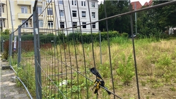 Das brachliegende Gelände der ehemaligen Michaeliskita.