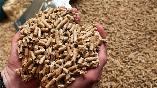 Bewährungsstrafe im Prozess um German-Pellets-Pleite German Pellets war nach eigenen Angaben einst Weltmarktführer bei Herstellung und Vertrieb von Holzpellets für Heizungen.