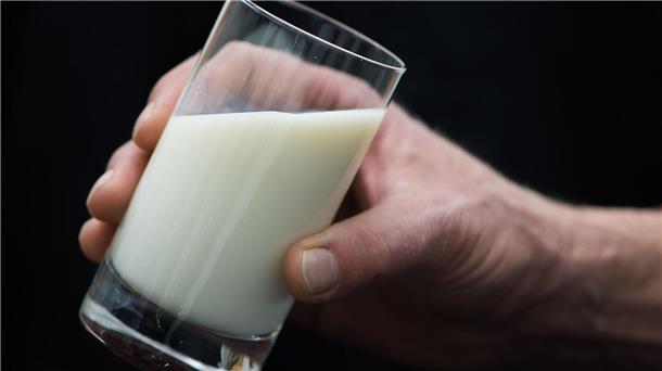 Trinkmilch-Rückruf - Medikamentenrückstände entdeckt Gesundheitsgefährdende Stoffe sind in einer Milch entdeckt worden. (Symbolbild)