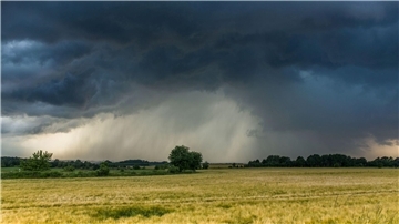 Gewitter können heftigen Regen, Wind und sogar Hagel bringen.