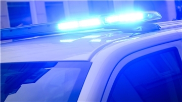 Gleich mehrere Gründe für eine Festnahme fanden Bundespolizisten bei der Kontrolle eines abgelehnten Asylbewerbers. (Symbolfoto)