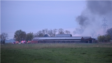 Das Foto zeigt einen brennenden Bauernhof in Stadland.